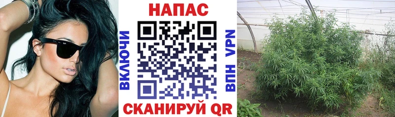 Канабис гибрид  Кемерово 
